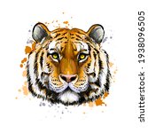 Tiger Head Portrait From A...