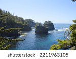 Small photo of Cape Flattery Trail with Amazing Views