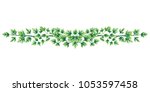 illustration of green parsley... | Shutterstock . vector #1053597458