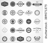 vector logotypes set. retro... | Shutterstock .eps vector #389071375