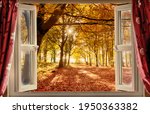 Autumn View From An Open Window ...