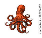 Octopus. Vector Color Engraving ...