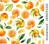 seamless watercolour citrus... | Shutterstock . vector #1836251332