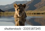 Small photo of Lion cub looking the reflection of an adult lion in the water on a background of mountains