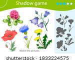Shadow Game For Kids. Match The ...