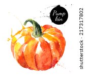pumpkin. hand drawn watercolor... | Shutterstock .eps vector #217317802