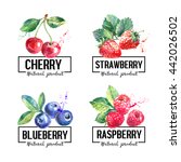 eco food labels set. watercolor ... | Shutterstock .eps vector #442026502