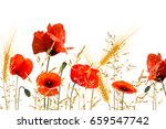 poppy meadow on white... | Shutterstock . vector #659547742