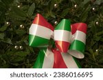 Small photo of Italian tricolor cockade with laurel and gold balls