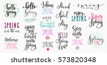 hello spring lettering... | Shutterstock .eps vector #573820348