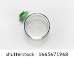 glass petri dish with... | Shutterstock . vector #1665671968