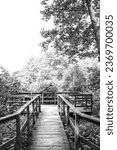 Small photo of Wooden footpath leads through bushes and swampland in the forest, black and white image