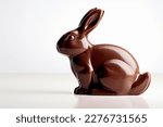 Chocolate Bunny On A White...