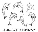 dolphin sketch. hand drawn... | Shutterstock .eps vector #1483407272