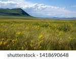 Small photo of steppe landscape with thundercloud on the horizon