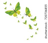 beautiful green butterflies ... | Shutterstock .eps vector #720736855