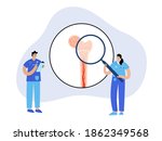 bone marrow anatomical icon.... | Shutterstock .eps vector #1862349568
