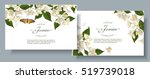 vector jasmine flower banners.... | Shutterstock .eps vector #519739018