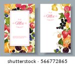 vector fruit and berry vertical ... | Shutterstock .eps vector #566772865