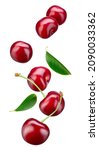 Small photo of Cherry isolated. Falling sour cherries with leaves on white background. Flying cherry.