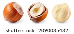 Small photo of Hazelnut isolated. Hazel set on white background. Hazelnut in broken shell, white nut, whole nut. Collection. Full depth of field.