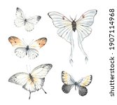 set of flying butterflies ... | Shutterstock . vector #1907114968