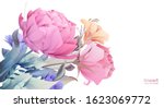 floral frame set  line flowers  ... | Shutterstock .eps vector #1623069772