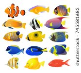 Sea Fish Collection Isolated On ...