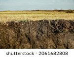 Small photo of Stratigraphic section of soil with layers and grass roots. Russia. underground soil layer of cross section earth, erosion ground with plants on top. Plants, soil, karst