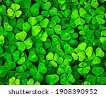 Background with green clover...