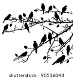 Vector Birds Silhouettes...