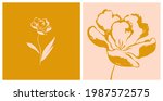 hand drawn botanical... | Shutterstock .eps vector #1987572575