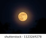 Orange full moon and dark sky. Full moon background.