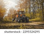 Forwarder tractor for wood transport. Tractor with trailer loaded with logs. Forestry tractor or forestry tractor for harvesting wood in the forest. Spring forest.