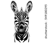 good zebra smiling black and... | Shutterstock .eps vector #549180295
