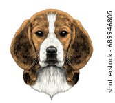 Dog Head Breed Beagle Sketch...