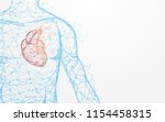 human heart anatomy form lines... | Shutterstock .eps vector #1154458315