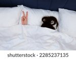 Small photo of Unrecognizable brunette woman under the blanket is showing V victory hand sign. She is lying in bed on white linen. The concept of a lazy morning and unwillingness to get up. Hiding from reality.
