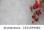 Small photo of Autumn or fall Leaves On A Gray Background. Texture Subtext with copy space for text.