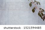 Small photo of Autumn or fall Leaves On A Gray Background. Texture Subtext with copy space for text.