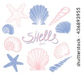 set of hand drawn seashells... | Shutterstock .eps vector #436893955