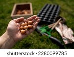Small photo of Garden tools and onion seeds for planting in the ground in the spring. Spring planting onions organically