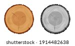 Tree Trunk Rings Cut Isolated...