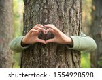 Child's hands making a heart shape on a tree trunk. Girl making an heart . Treehugger. A nature lover environmentalist with arms wrapped around a pine tree and fingers formed in the shape of a heart.