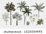 beautiful tropical vintage... | Shutterstock .eps vector #1525554995