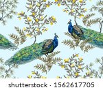 exotic chinoiserie wallpaper... | Shutterstock .eps vector #1562617705