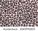 Colorful Leopard Design Vector...