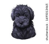 Schnoodle Puppy Digital Art...