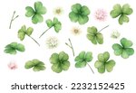 watercolor clover isolated on...