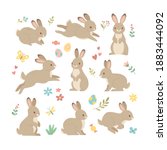 Rabbits Collection. Vector...